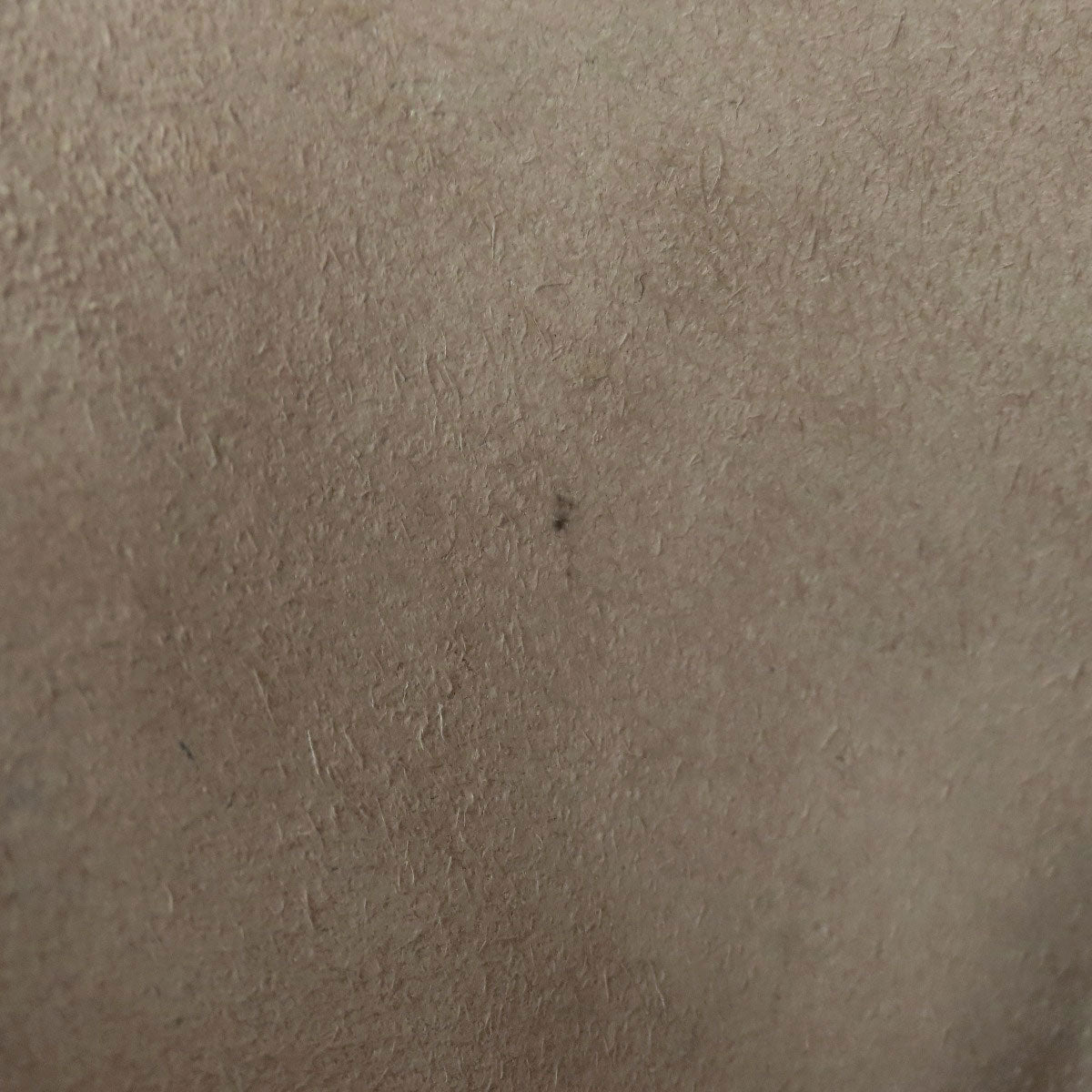 HERMES Evelyne3 PM SilverHardware Shoulder Bag Taurillon Clemence Ladies [Used]