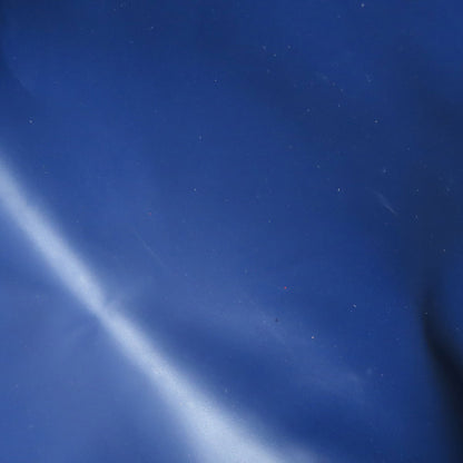 Longchamp Le Pliage Neo Shoulder Bag Nylon Ladies [Used]