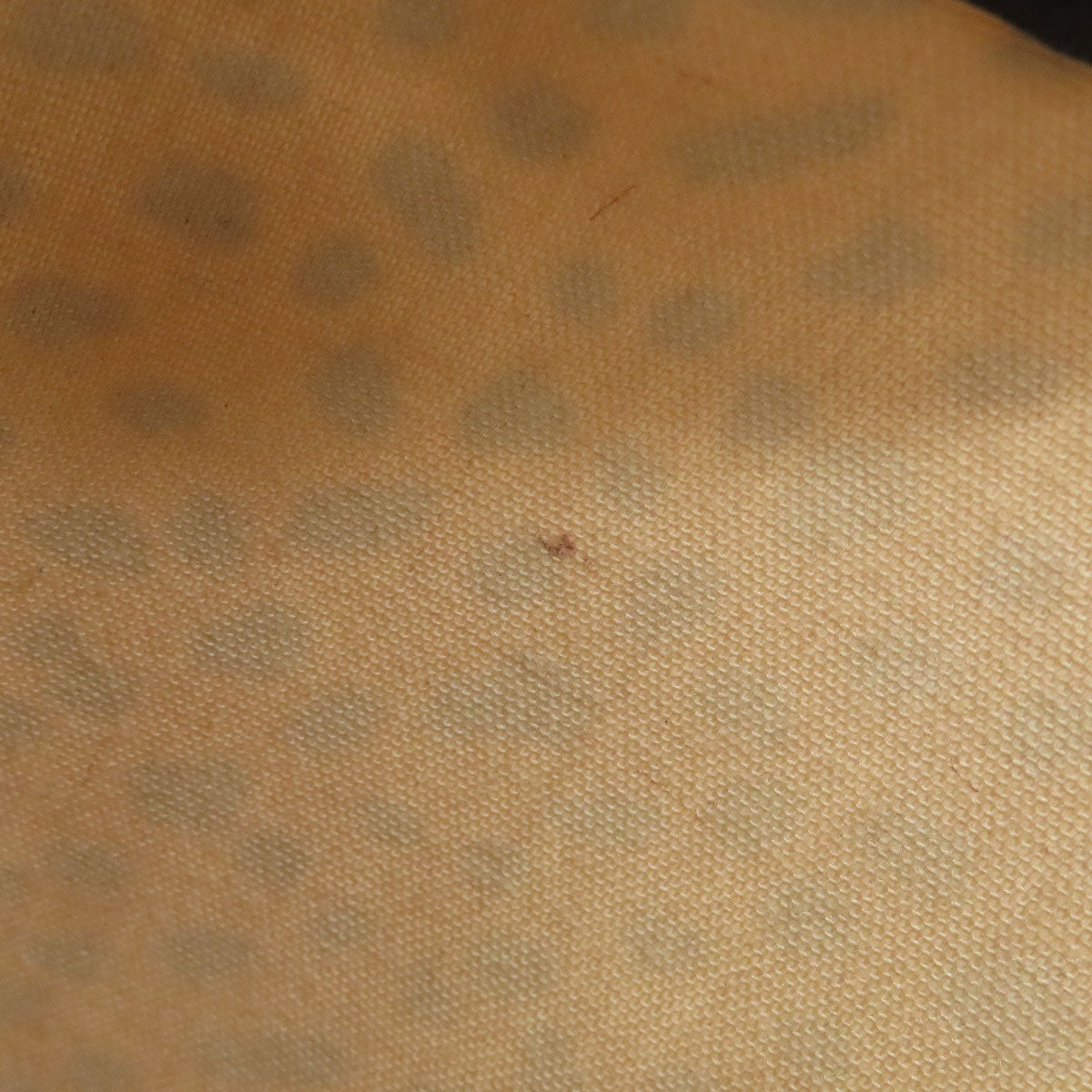 Tory Burch Dalmatian pattern 2WAY Handbag PVC Ladies [Used]