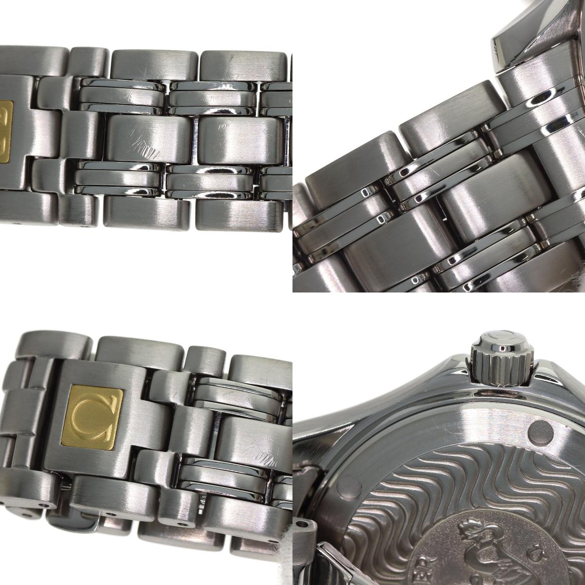 OMEGA Seamaster120m Watches 2511.31 Stainless Steel/Stainless Steel mens