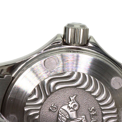 OMEGA Seamaster 120m Watches 2581.31 Stainless Steel/Stainless Steel Ladies