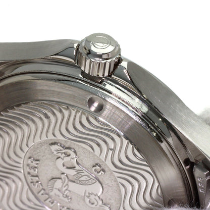 OMEGA Seamaster Watches 2501.83 Stainless Steel/Stainless Steel mens