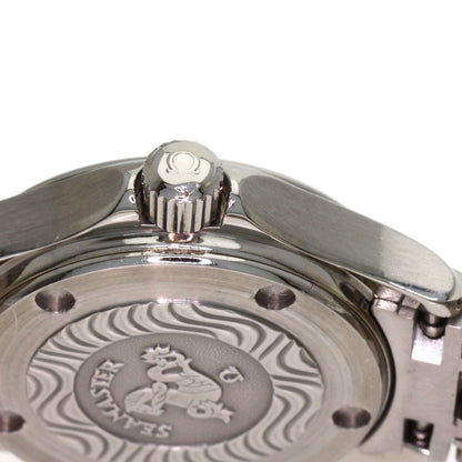 OMEGA Seamaster120 Watches 2581.81.00 Stainless Steel/Stainless Steel Ladies