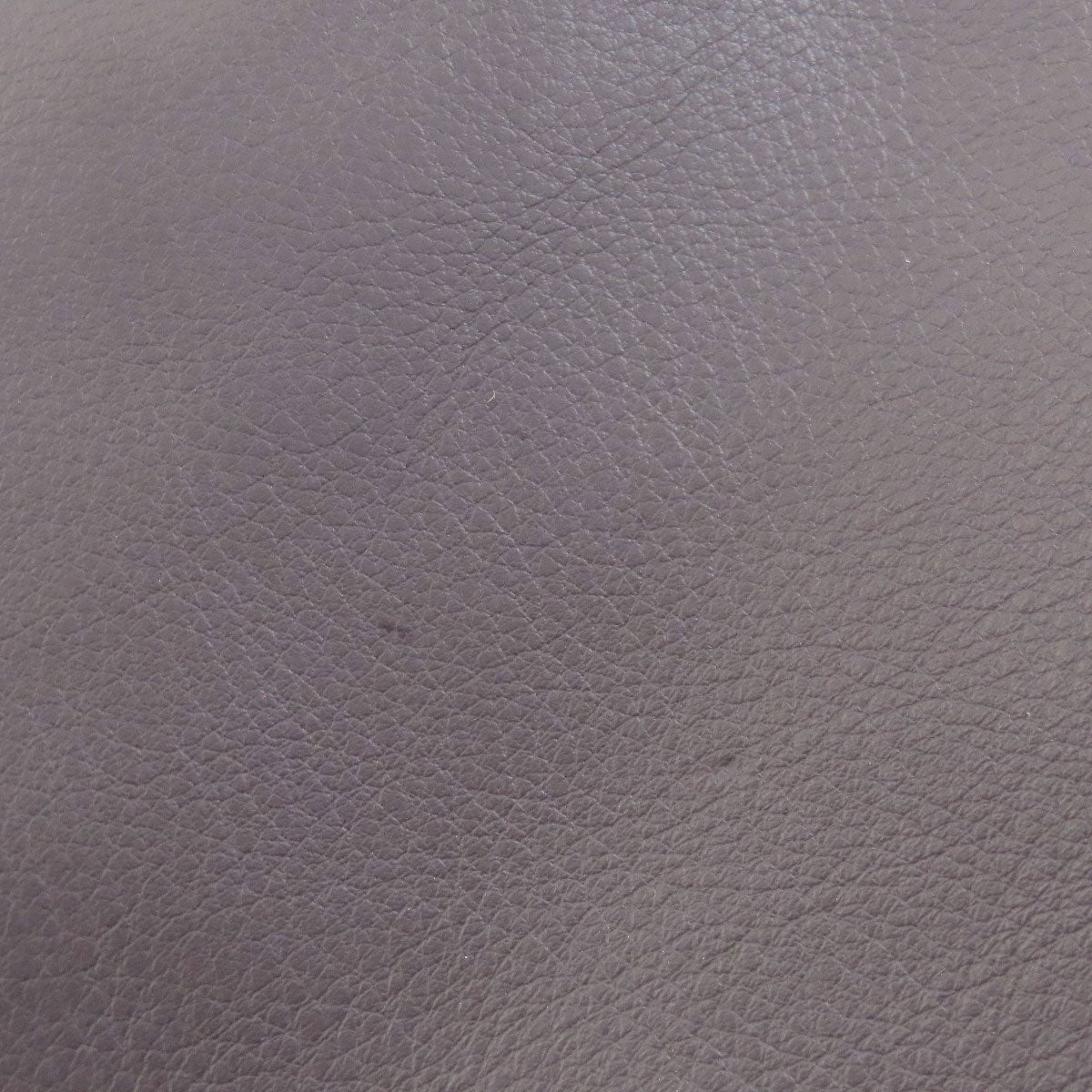 GOYARD Anju Mini Handbag Coating canvas Ladies [Used]