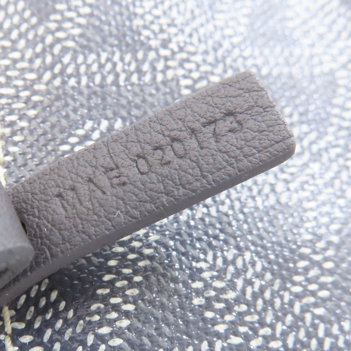 GOYARD Anju Mini Handbag Coating canvas Ladies [Used]