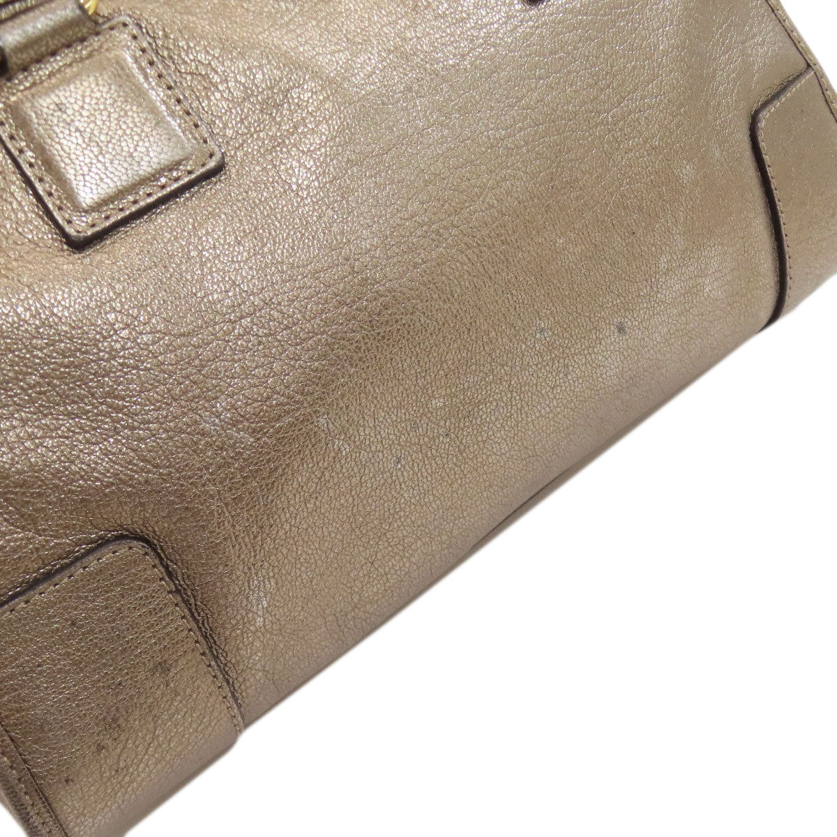 LOEWE Amazona Handbag Calf Ladies [Used]