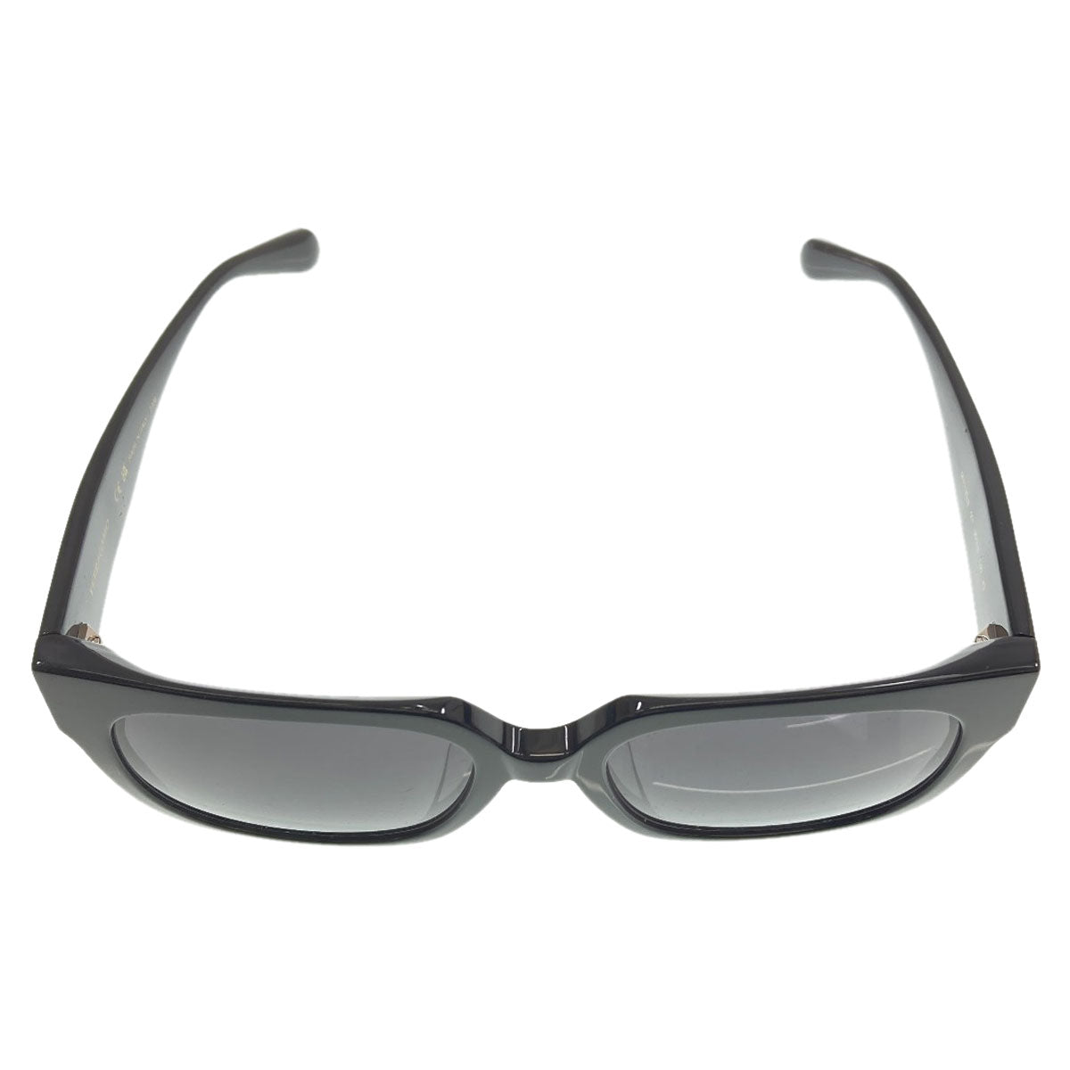 Salvatore Ferragamo logo sunglasses Plastic Ladies [Used]
