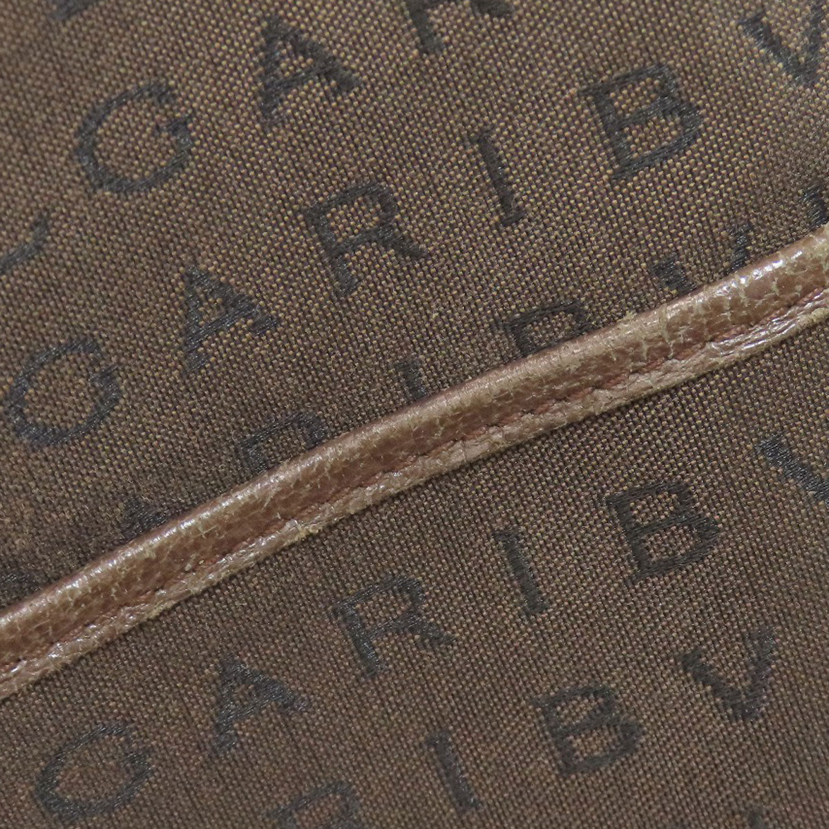 BVLGARI Logo mania Tote Bag Canvas Ladies [Used]