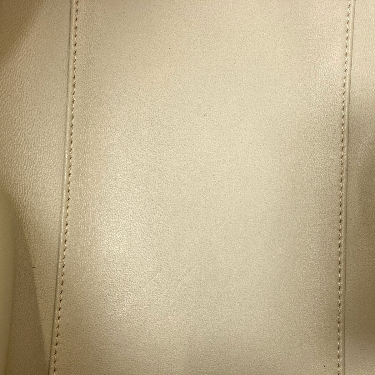 LOEWE Amazona Handbag Calf Ladies [Used]