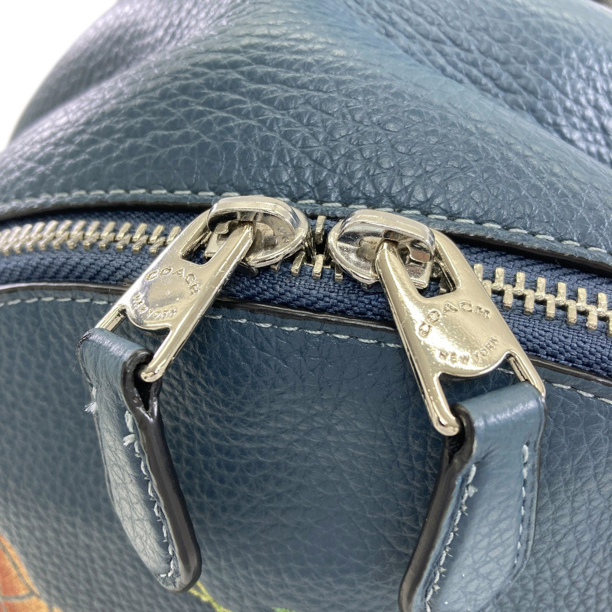 COACH F76772 Rainbow Horse and Carriage Backpack Â· Daypack Leather Ladies [Used]