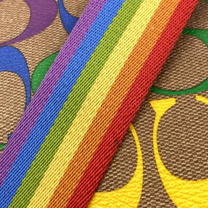 COACH C4097 Rainbow Backpack Â· Daypack PVC Ladies [Used]