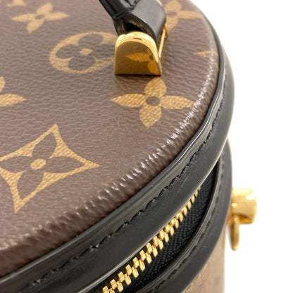 LOUIS VUITTON M43986 Cannes Handbag Monogram canvas Ladies [Used]