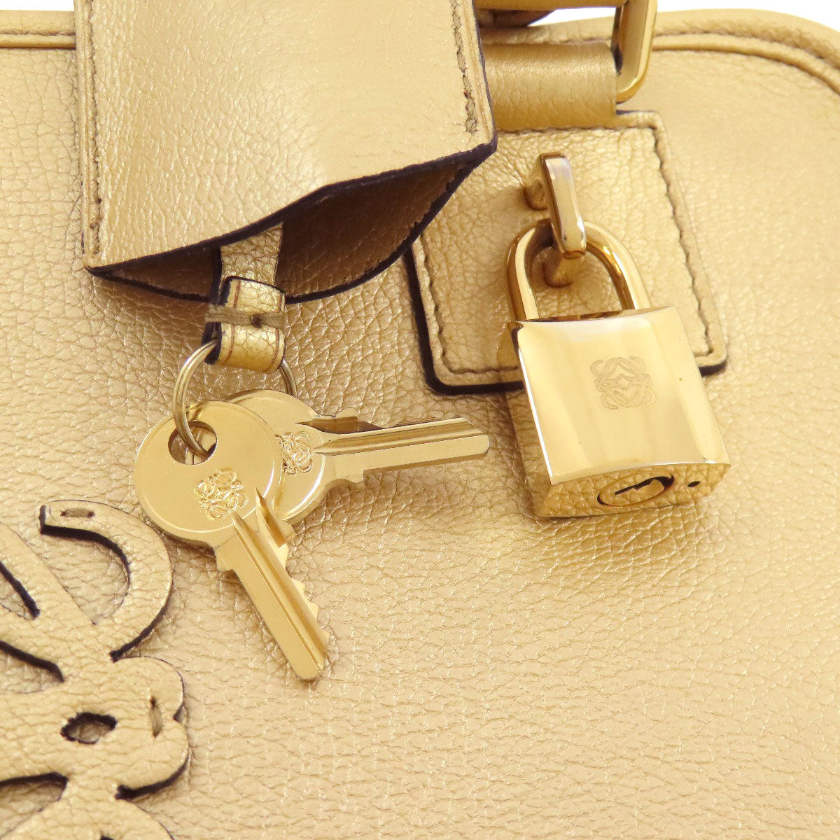 LOEWE Amazona Handbag Calf Ladies [Used]