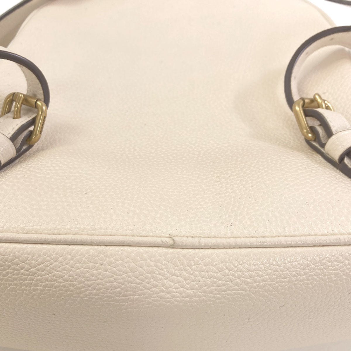 COACH C2032-658 Apple motif Backpack Â· Daypack Leather Ladies [Used]