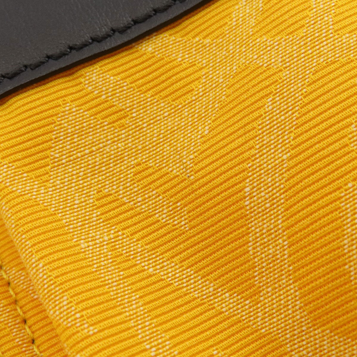 FENDI Strike Large Backpack Â· Daypack Canvas Ladies [Used]