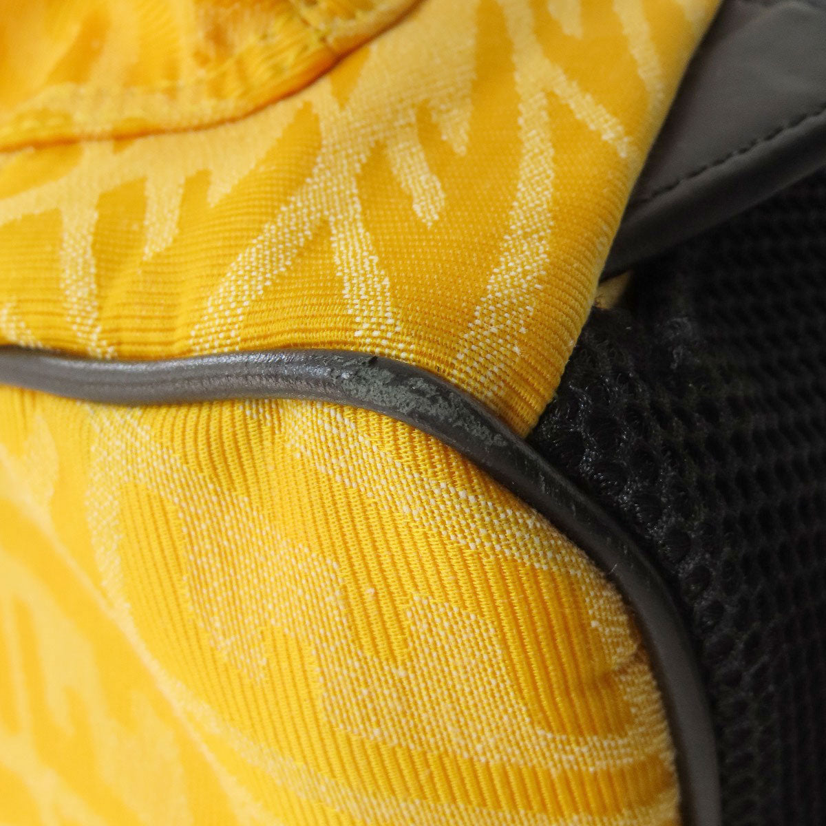 FENDI Strike Large Backpack Â· Daypack Canvas Ladies [Used]