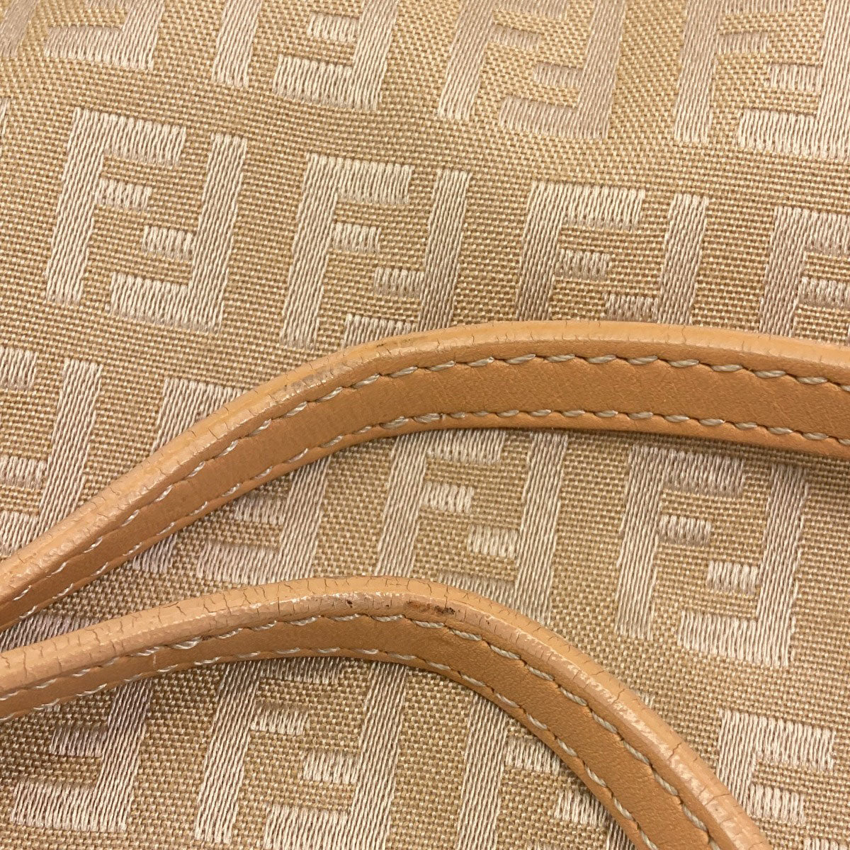 FENDI Zucca pattern Tote Bag Canvas Ladies [Used]