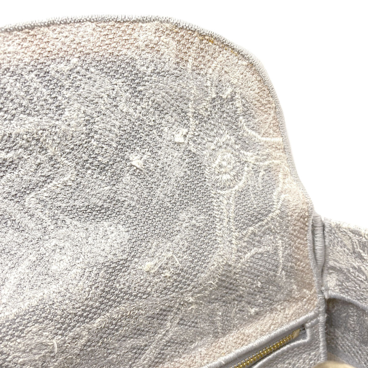 CHRISTIAN DIOR Lady D-Lite 2WAY Handbag Canvas Ladies [Used]