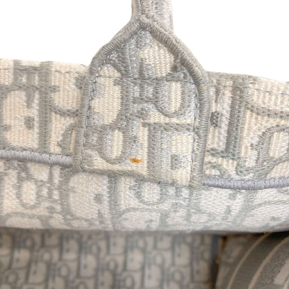 CHRISTIAN DIOR Book tote Tote Bag Canvas Ladies [Used]