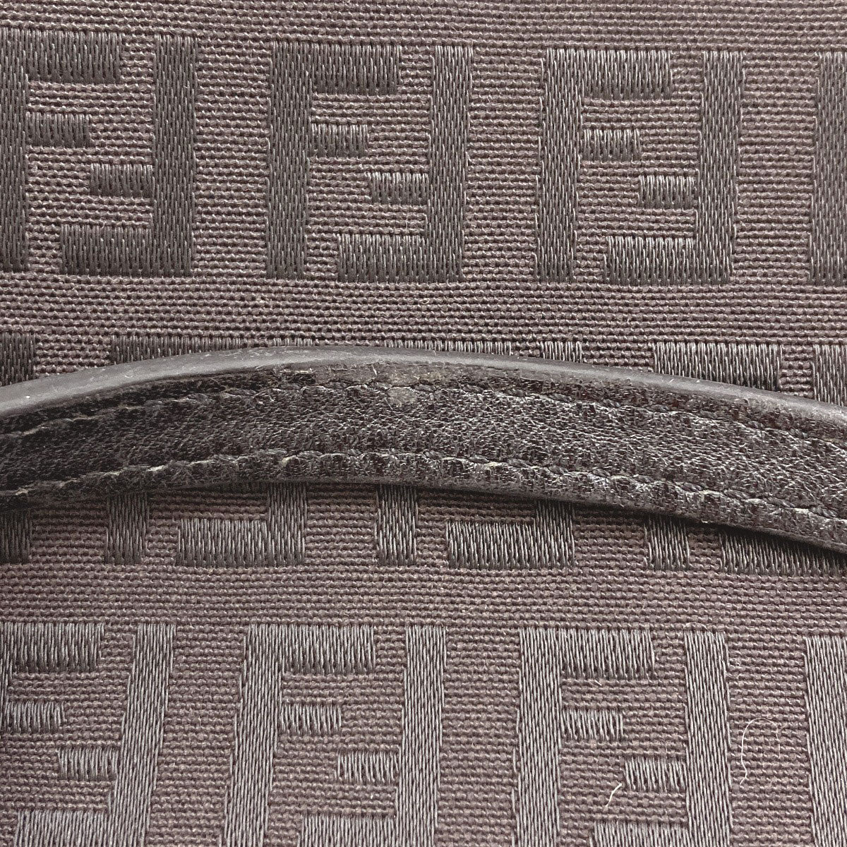 FENDI Zucchino Tote Bag Canvas Ladies [Used]