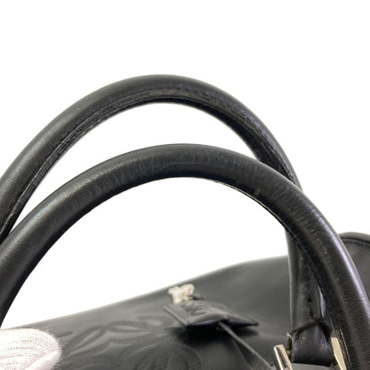 LOEWE Amazona Handbag Calf Ladies [Used]