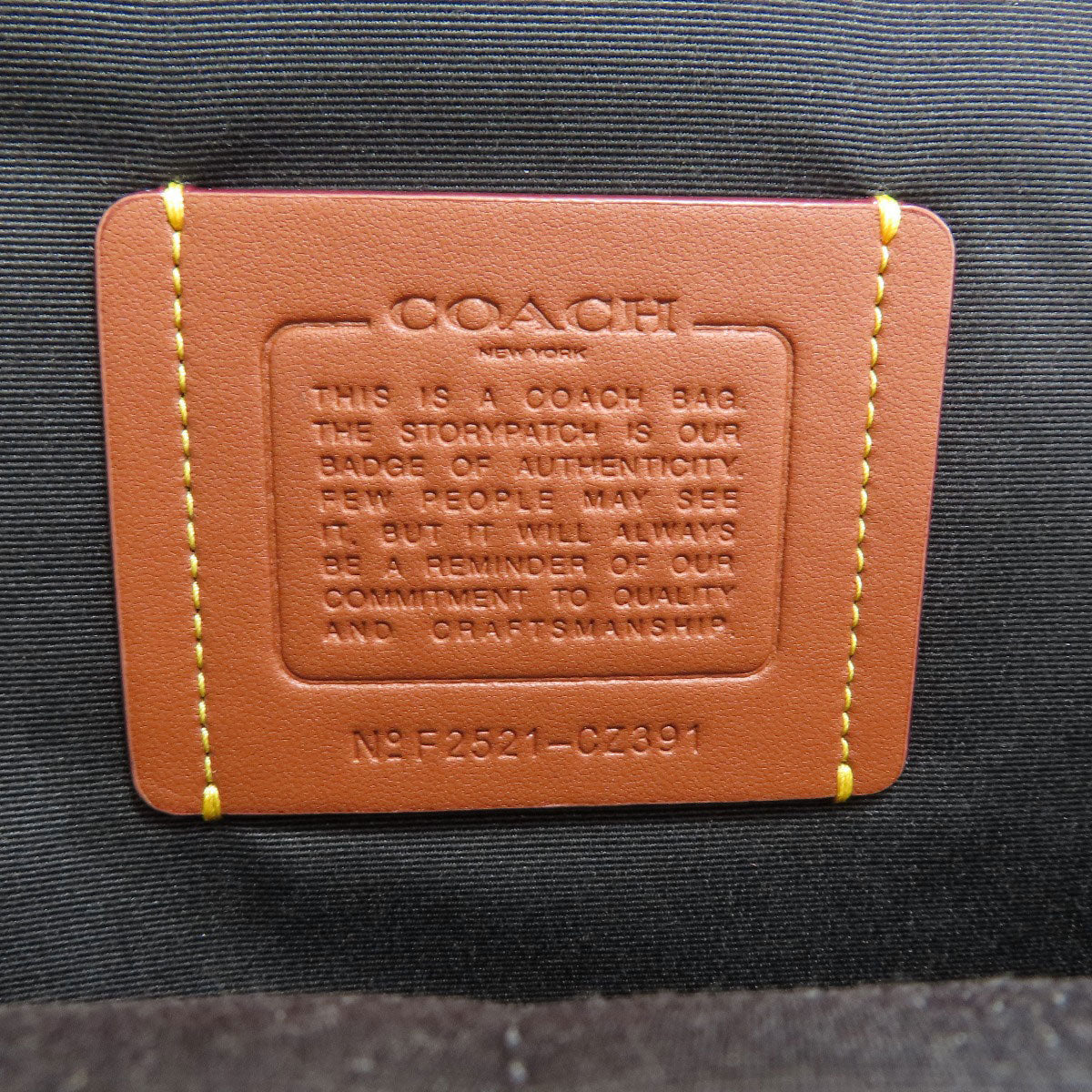 COACH CZ391 Ethan Backpack Backpack Â· Daypack Leather mens [Used]