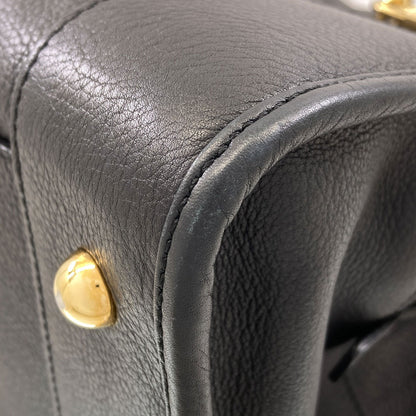 LOEWE Amazona Handbag Calf Ladies [Used]