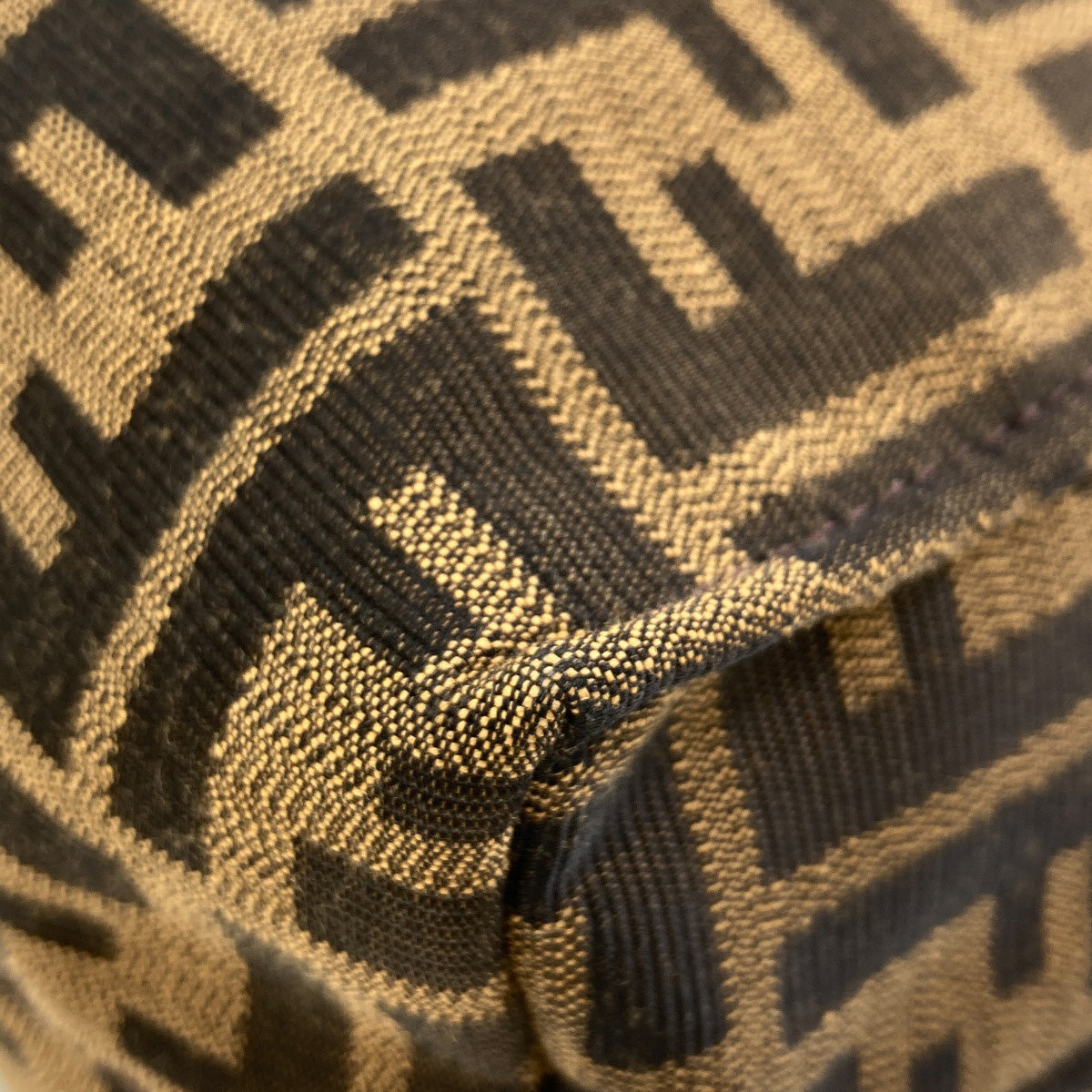 FENDI Zucca pattern Tote Bag Canvas Ladies [Used]