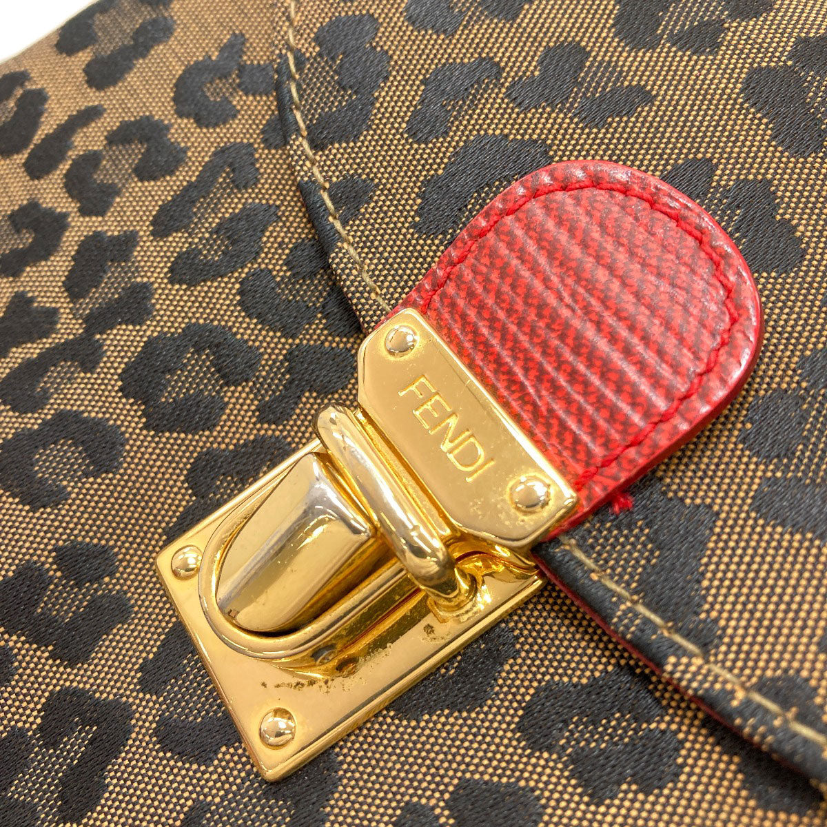 FENDI Leopard pattern Backpack Â· Daypack Canvas Ladies [Used]