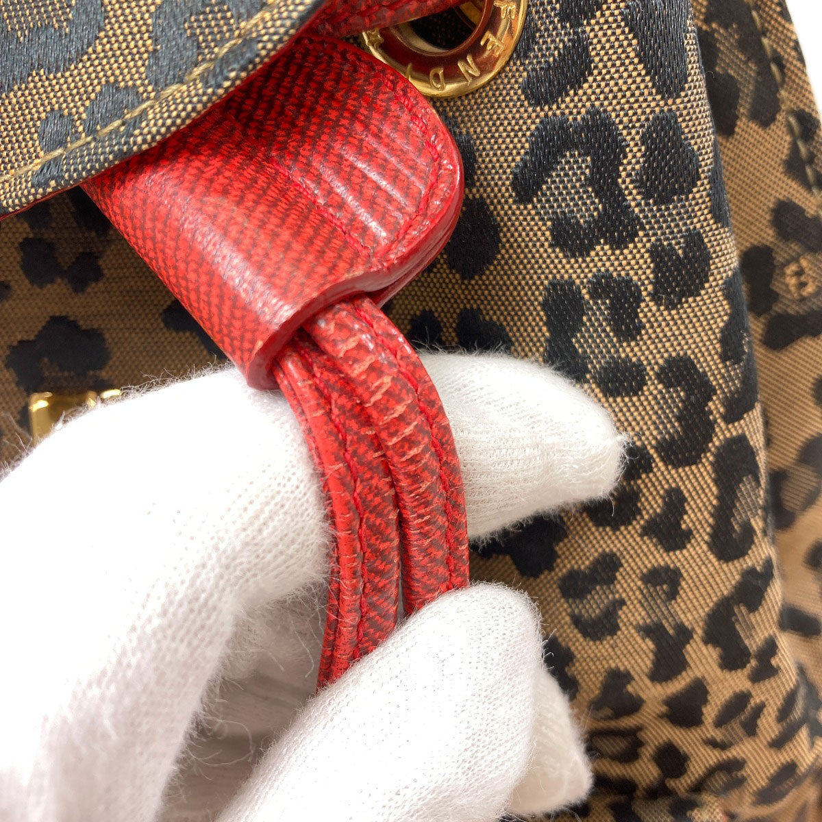 FENDI Leopard pattern Backpack Â· Daypack Canvas Ladies [Used]