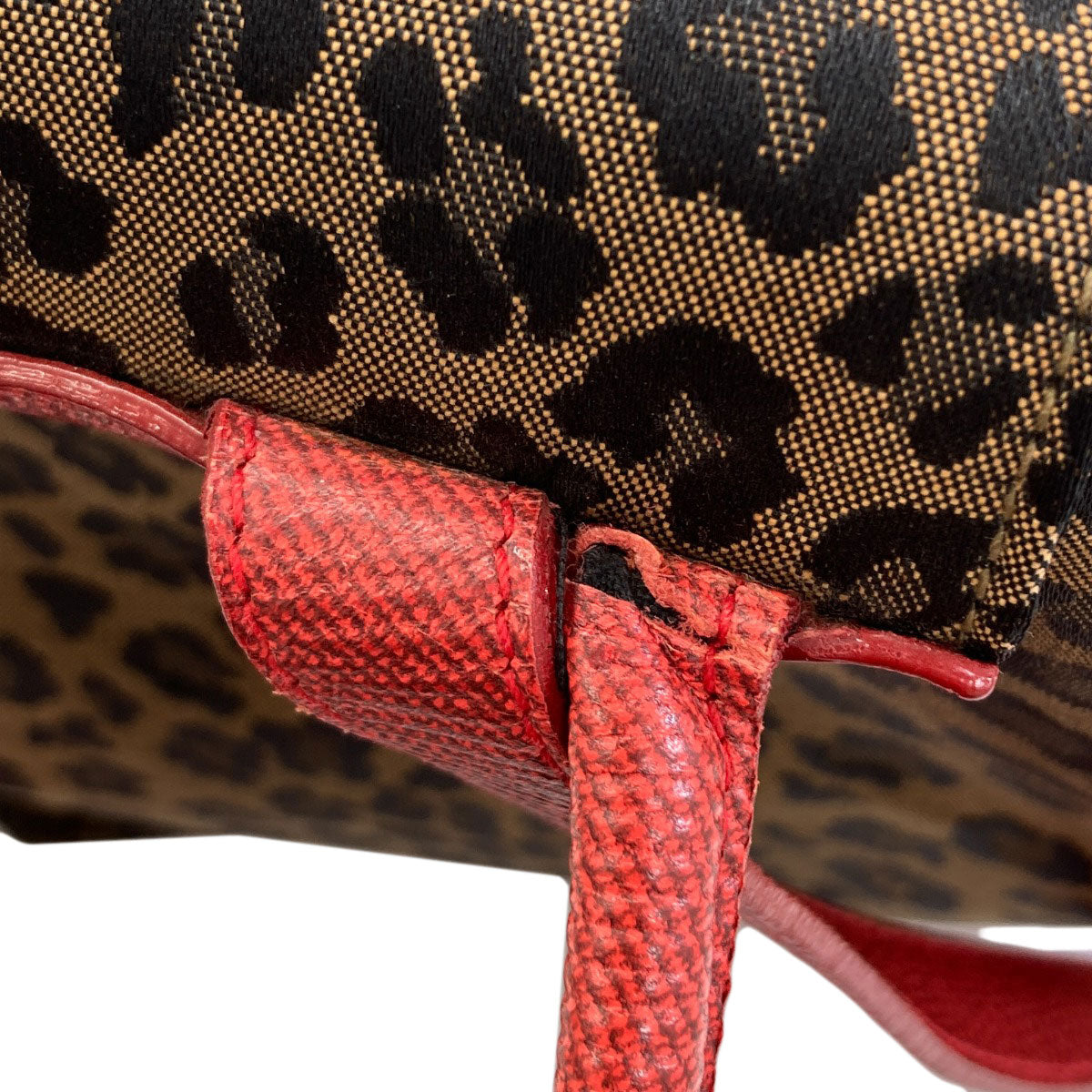 FENDI Leopard pattern Backpack Â· Daypack Canvas Ladies [Used]