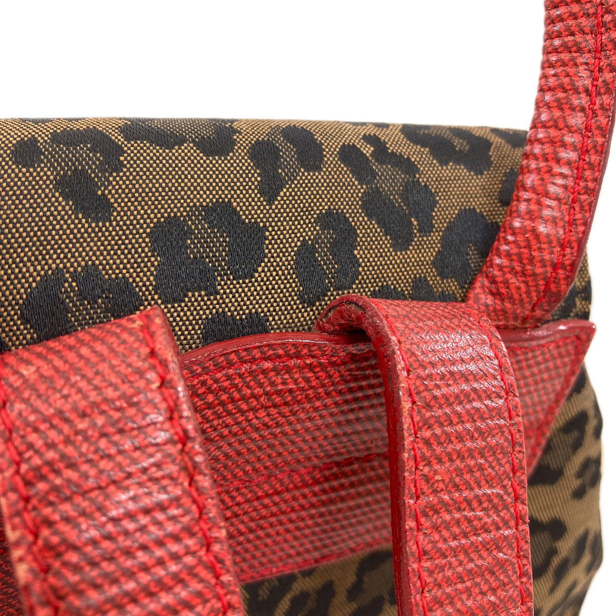 FENDI Leopard pattern Backpack Â· Daypack Canvas Ladies [Used]