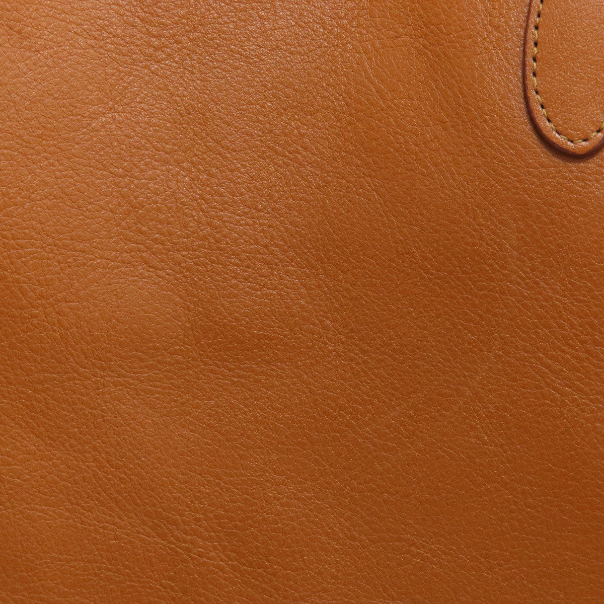 russet logo Tote Bag Leather Ladies [Used]