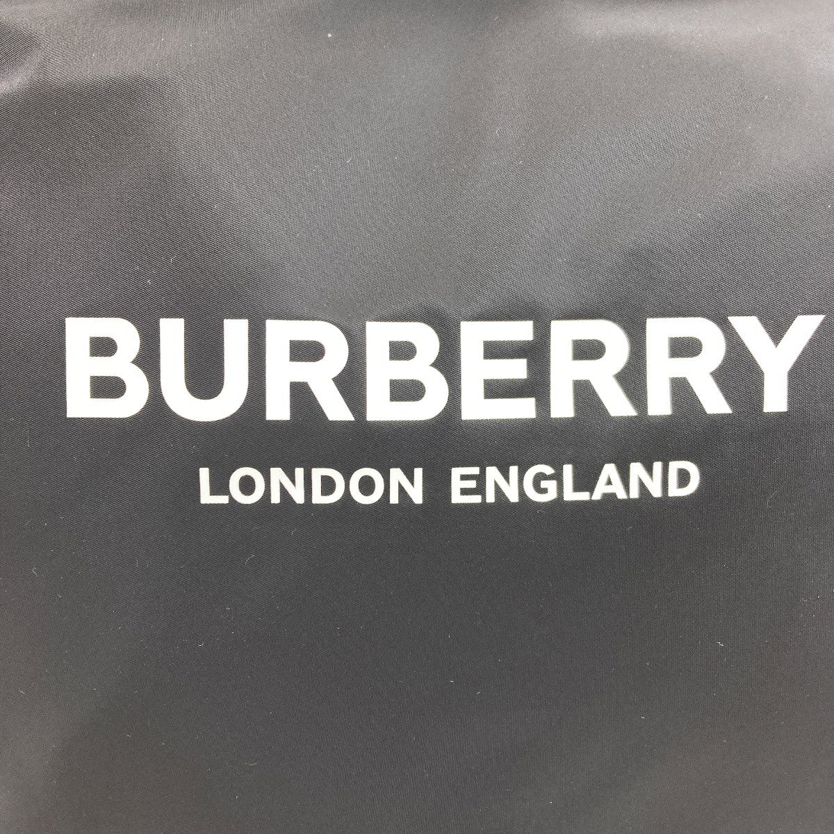 BURBERRY Logo print 2WAY Handbag Nylon Ladies [Used]
