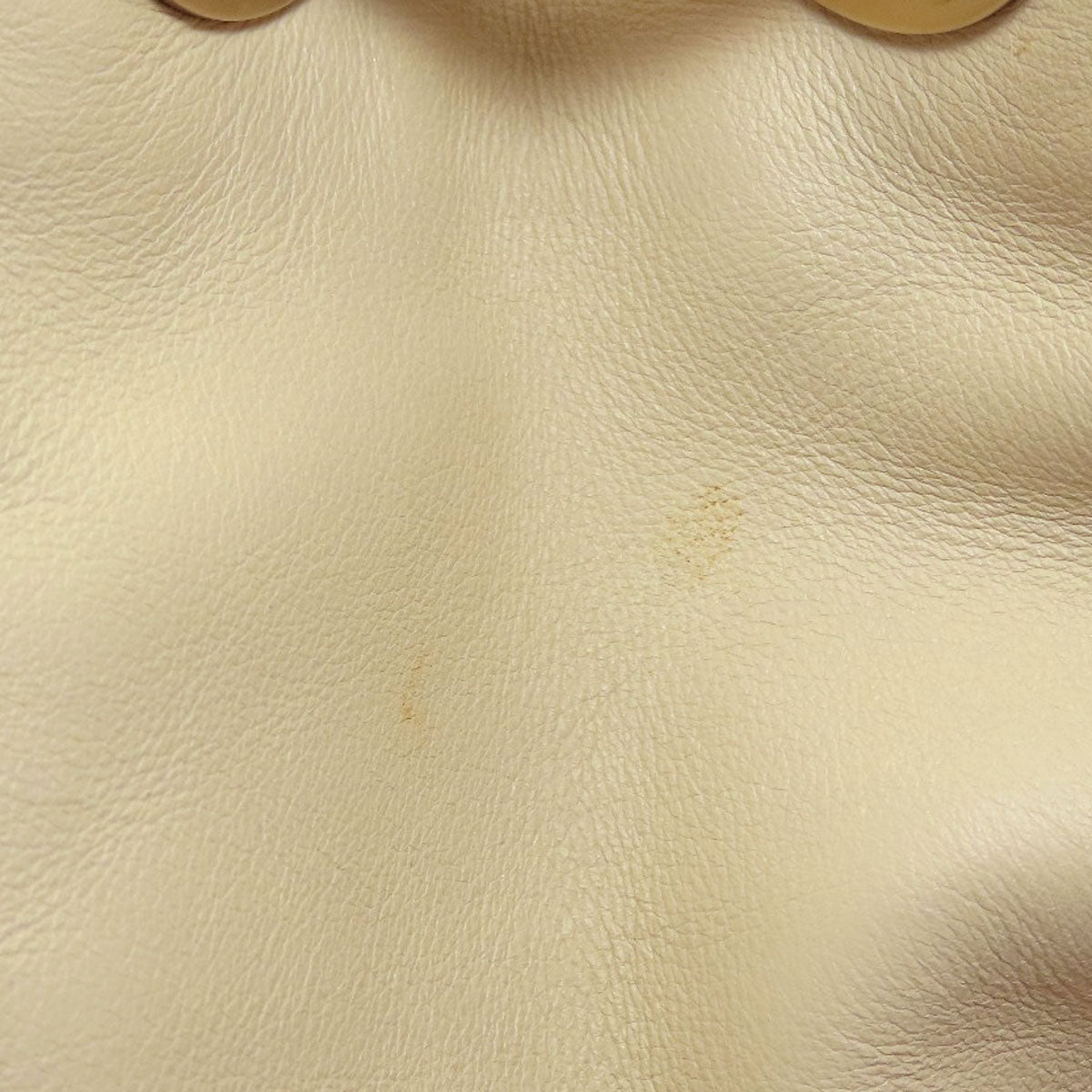 CHANEL Camellia GoldHardware Tote Bag Lambskin Ladies [Used]