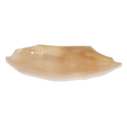 cameo Loose Shell 23.7g　Ladies